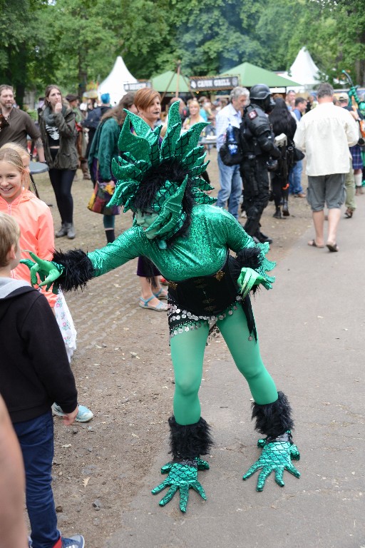 ../Images/Vrijdag Castlefest 2015 089.jpg
